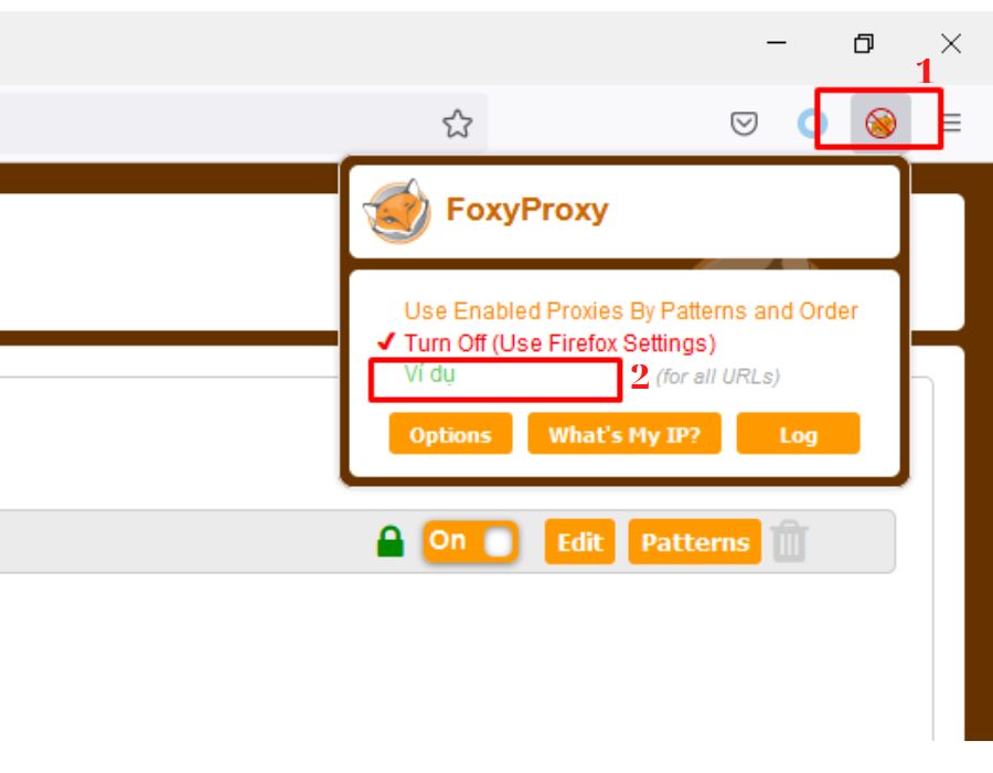 Hoàn thành đăng nhập Proxy và sử dụng