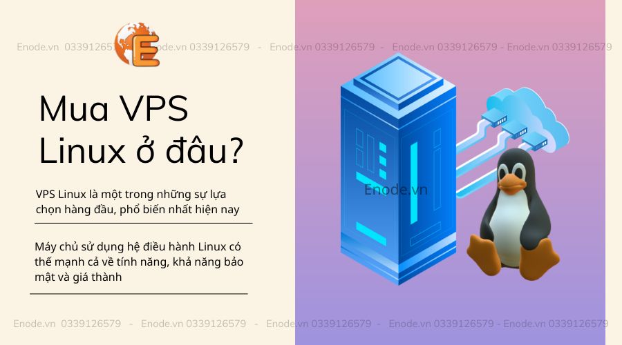 Mua VPS ở đâu giá rẻ